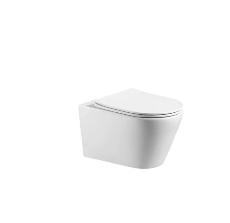 RUBINE PF-306P07 Wall-hung, TOILET / FREE EXPRESS DELIVERY - Image 2
