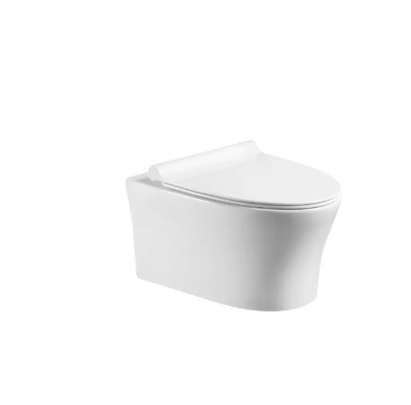 RUBINE PN-305P07 Wall-hung , TOILET - Image 3