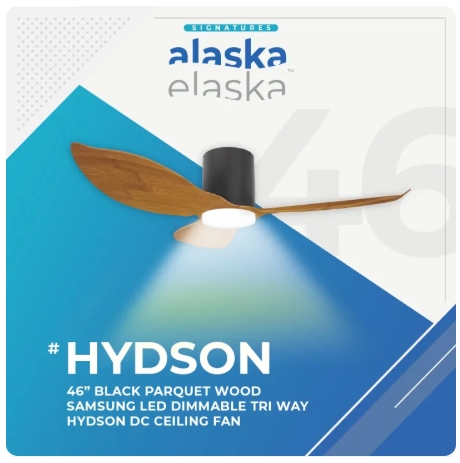 Alaska HYDSON 46″ DC CEILING FAN + SAMSUNG 20W LED DIM TRI WAY MEMORY FUNCTION - Image 4